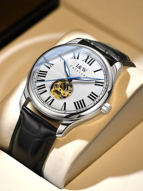 IW.695G/L I&W Swiss genuine watch men's automatic mechanical watch retro style hollow movement blue needle business watch luminous watch