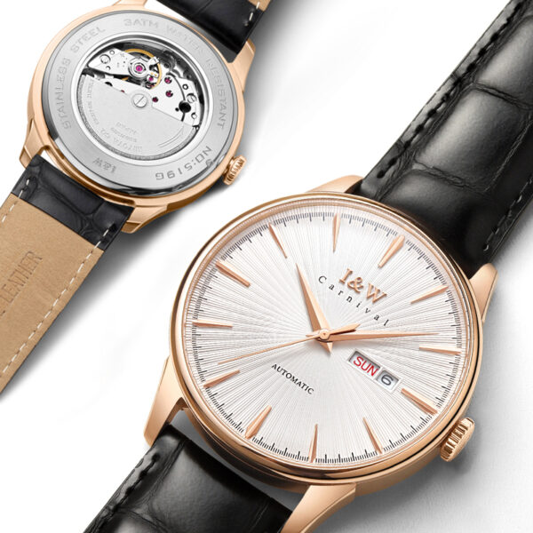 IW.519G I&W I&W Men's Automatic Mechanical Watch Retro Dual Calendar Business Watch Cowhide Strap Waterproof Sports Watch