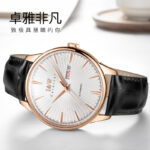 IW.519G I&W I&W Men's Automatic Mechanical Watch Retro Dual Calendar Business Watch Cowhide Strap Waterproof Sports Watch