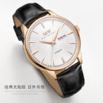 IW.519G I&W I&W Men's Automatic Mechanical Watch Retro Dual Calendar Business Watch Cowhide Strap Waterproof Sports Watch