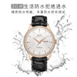 IW.519G I&W I&W Men's Automatic Mechanical Watch Retro Dual Calendar Business Watch Cowhide Strap Waterproof Sports Watch