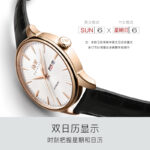 IW.519G I&W I&W Men's Automatic Mechanical Watch Retro Dual Calendar Business Watch Cowhide Strap Waterproof Sports Watch